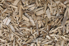 biomass boilers Reasby